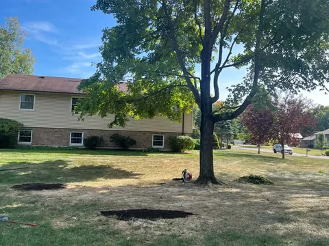 A front lawn with fresh soil circles where three stumps were ground out.
